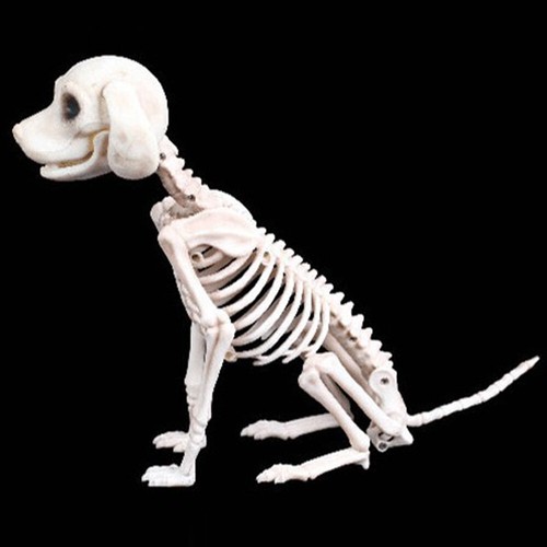 Halloween spaventoso scheletro - spaventoso,