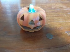Zucca halloween - zucca,