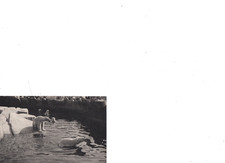 Carte postale Parc Zoologique