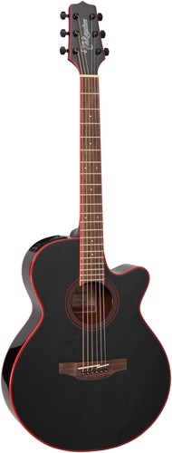 Takamine gf49ce artist - takamine, cb