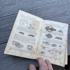 Antico Libro 1859 Illustrato
