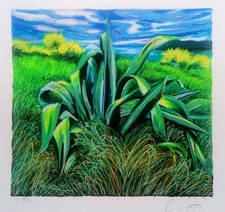 Franco Azzinari serigrafia firmata numerata e certificata  cm. 33  x 35.