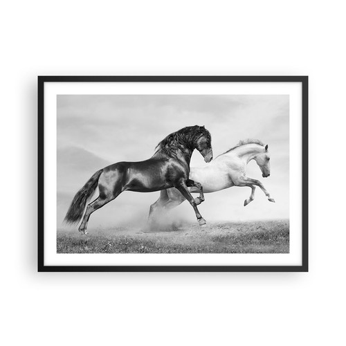 Poster 70x50cm cavalli animali - poster,
