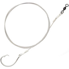 Pesce acqua salata ami big