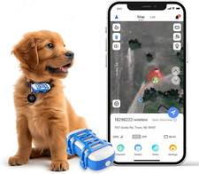 GPS per Cani Gatto GPS Cane- Durata Della Batteria Fino a 1 Mese - Collare GPS -