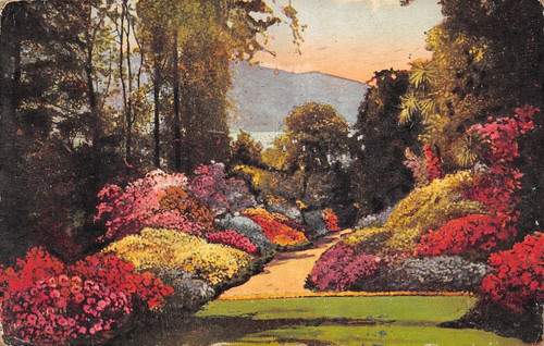 Cartolina lago como - cartolina,