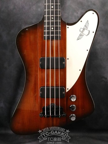 Basso elettrico gibson - basso,