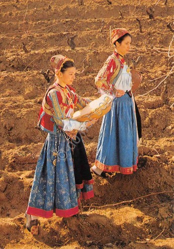 Cartolina costumi tradizionali - cartolina,