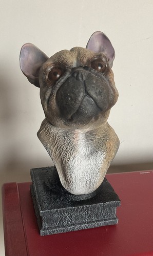 Statua resina bulldog - in,