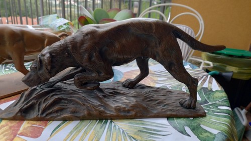 Cane dog caccia ferma in - cane,