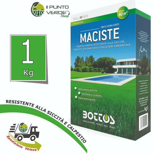 Seme per prato maciste - prato,