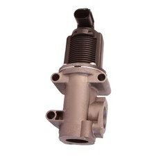 Valvola EGR Revisionata Alfa