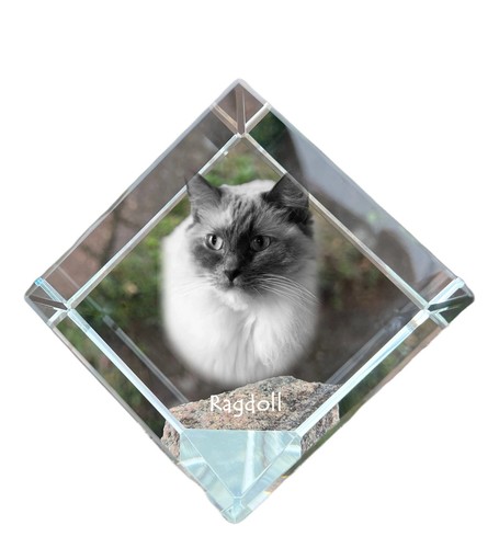Collana con ciondolo ragdoll - ciondolo,