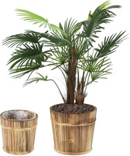 Vaso legno set - vaso, in