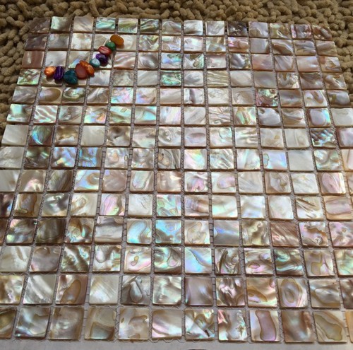 Piastrella mosaico guscio