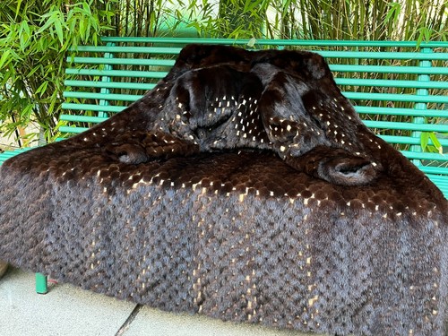 Cappotto vera pelliccia - in,