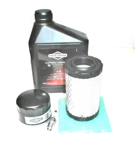 Kit manutenzione briggs - kit,