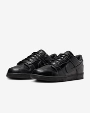 IQ3342-001 Nike Dunk Low Retro
