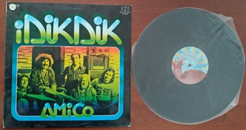 Vinile giri dik - lp,