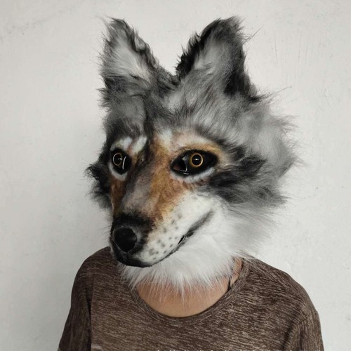 Costume lupo peloso - costume,