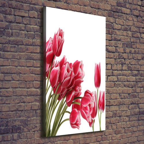 Tulup dipinto tela pittura - tulup, su