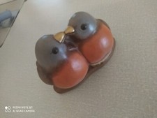 Thun pettirosso Thun club