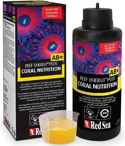 Red sea reef - sea, 1000
