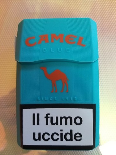 Camel custodia vuota - custodia, di