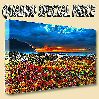 Quadri moderni tela canvas - quadri,