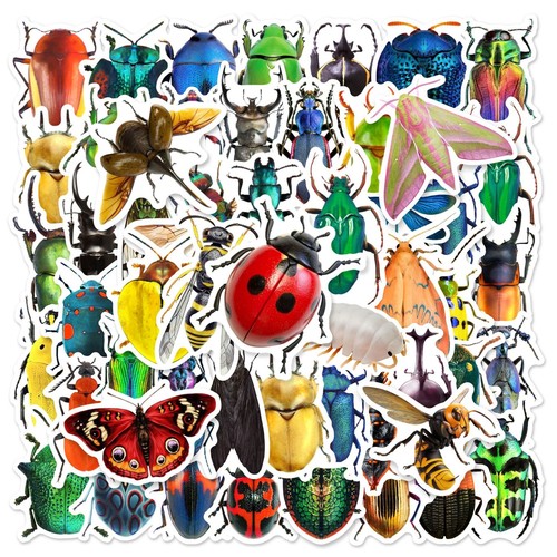 Pezzi adesivi insetti per - insetti,