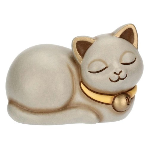 Gatto thun grigio accovacciato - gatto,