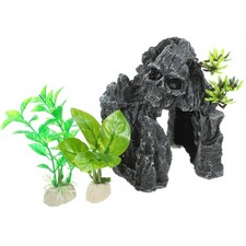  Geco leopardo nascondiglio