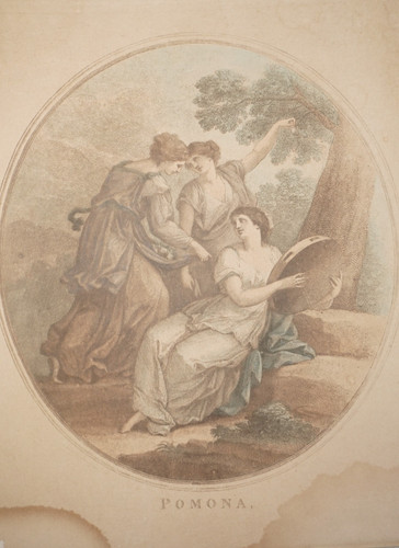Angelica kauffman 1741 1807 - kauffman, 1741-1807