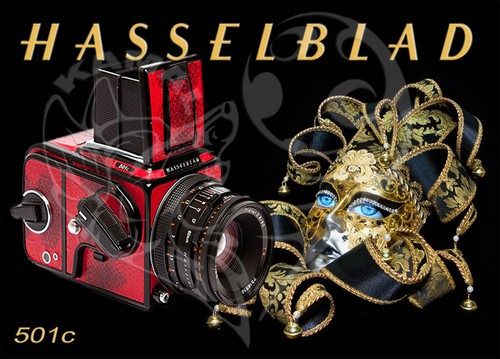 Hasselblad 501c - hasselblad,