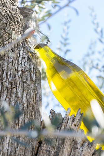 Olio extravergine rocca - olio,