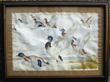 QUADRO ACQUERELLO Ubaldo Cosimo Veneziani LEVATA GERMANI ANATRE STAGNO MARE 1950