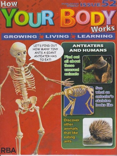 How your body works issue - your,