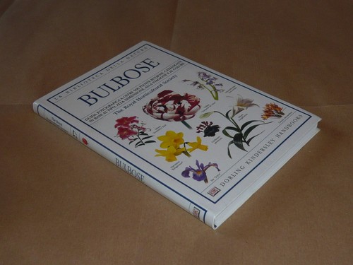 Bulbose biblioteca della - la,