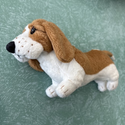 Kit kittredge dog grace - kit, kittredge's