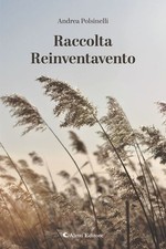 Libro - Polsinelli Andrea -