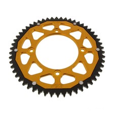 Pignone 54Z divisione 428 oro