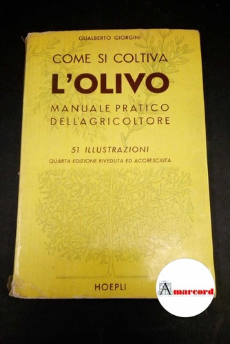 Giorgini gualberto come si - gualberto.,