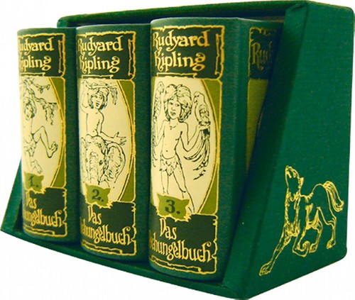 Libro della giungla - il,
