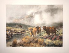 Stampa incisione calcografia