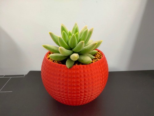 Vasi plastica per - plastica,