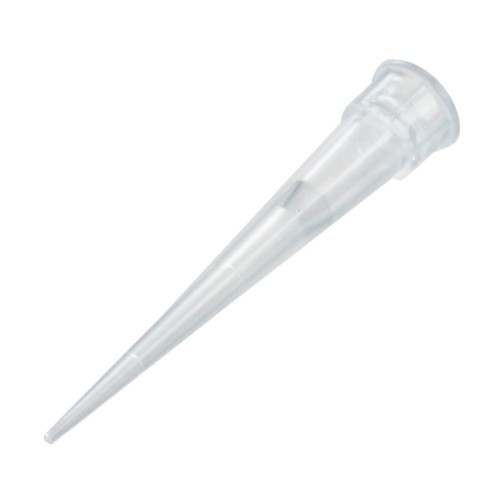 Laboratorio trasparente - ,