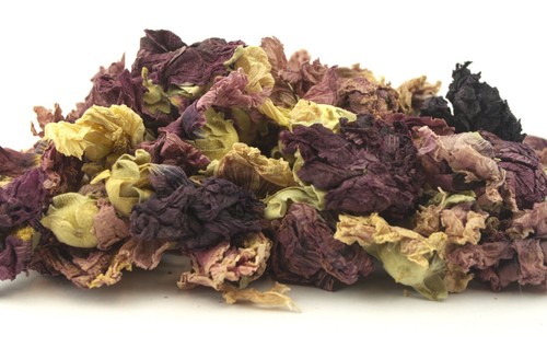 Fiori malva viola essiccati - di,