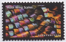 US 5802l Life Bilancia ad ala