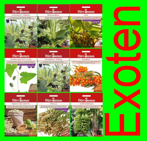 Mhd 2024 exoten banane kiwi - 2024,