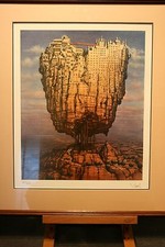 Stampa edizione limitata